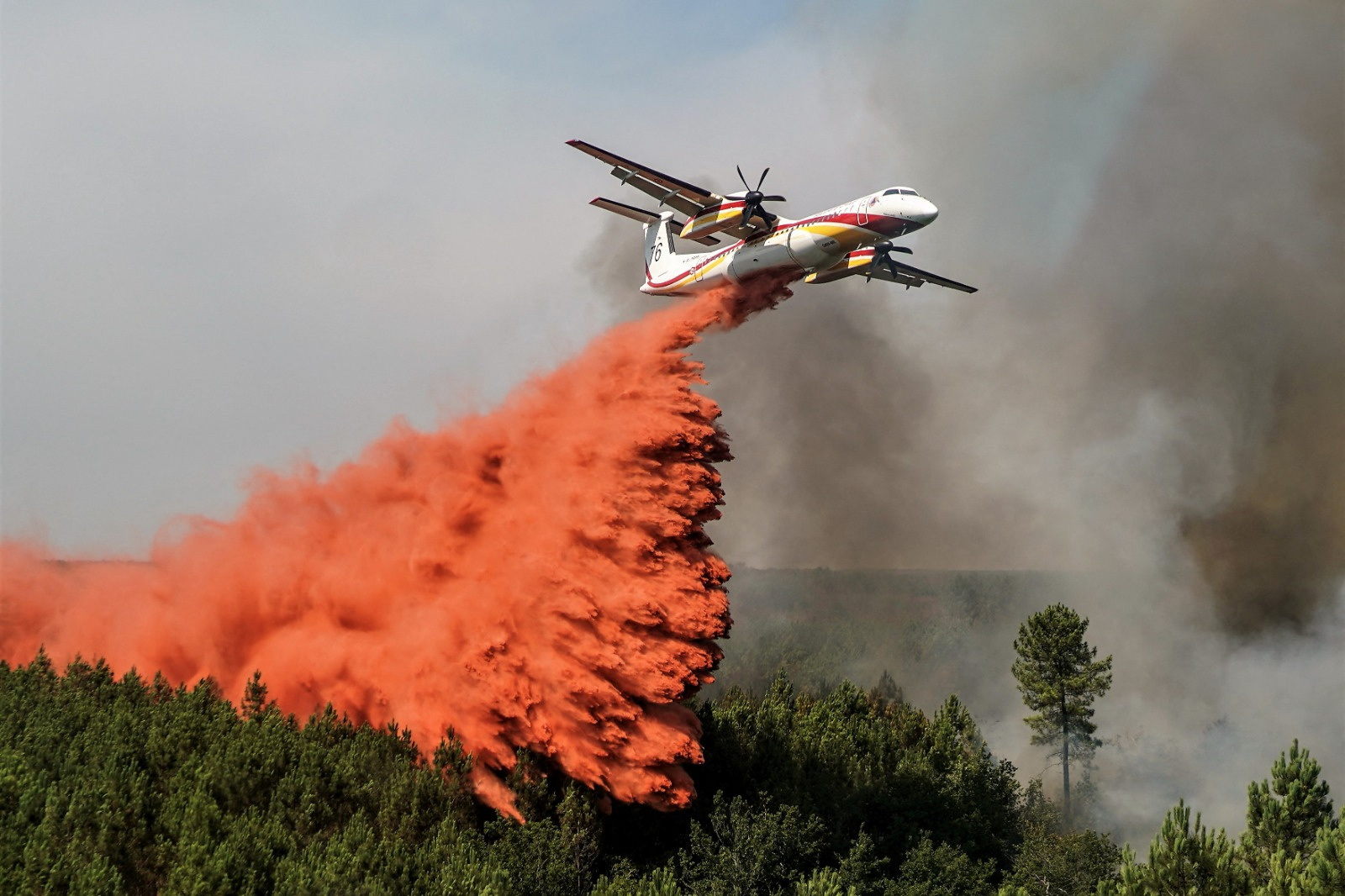 Wildfires in southwestern France