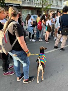 pride parade, gay pride parade, lgbti