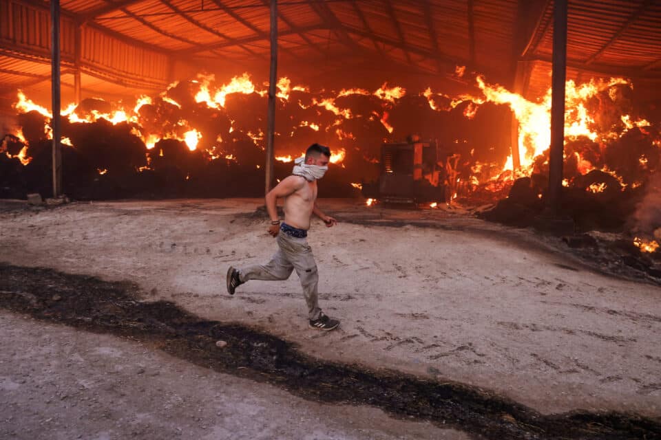 Sesklo, in central Greece, July 26, 2023. REUTERS/Alexandros Avramidis    