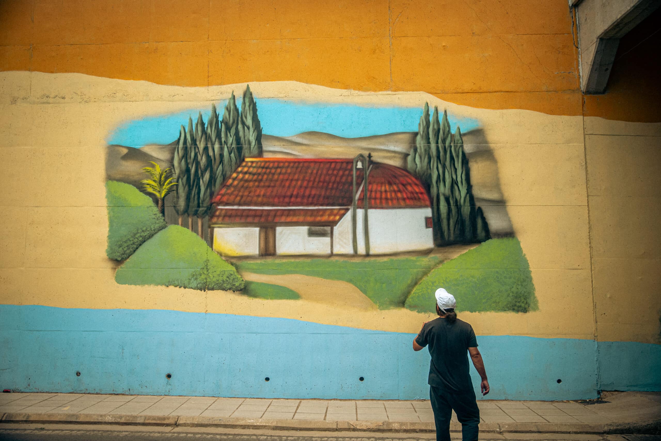 feature melissa detail from cyprus' longest mural