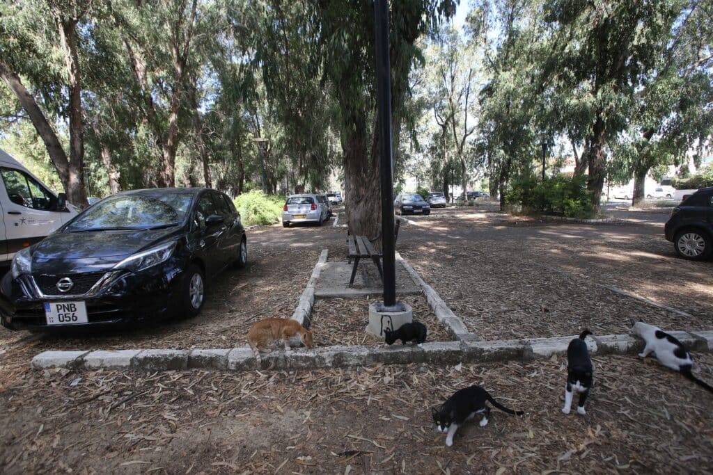 feature tom nicosia english school park. the city rises to the heady heights of third last in the european table when comes to total 'green infrastructure' (christos theodorides)