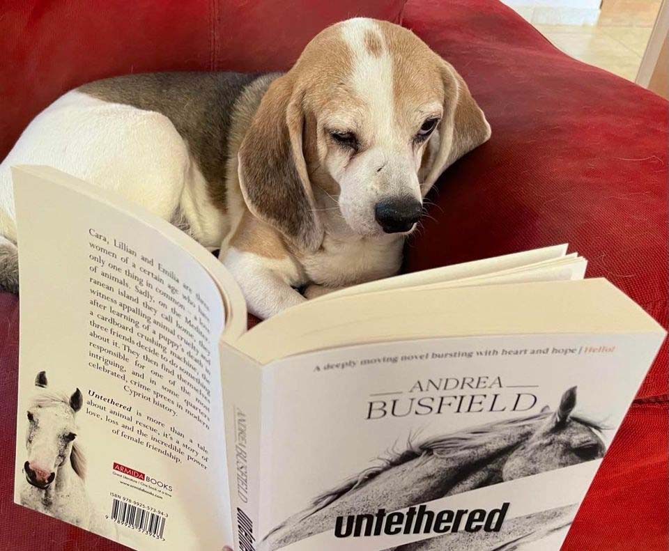 profile andrea's rescue dog reading her latest book