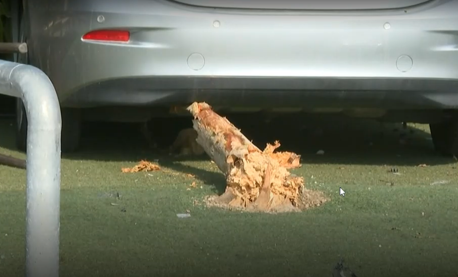 588608584 1997958371053519 7404632298703319797 N