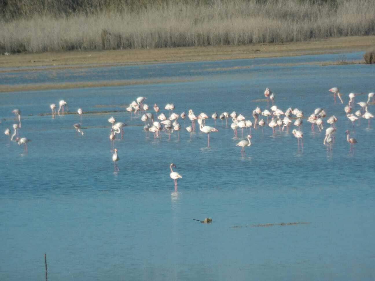 72a9bf61 3e24 4bab A2e6 Bc7acf86412d