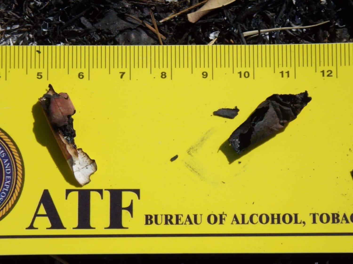 A Burnt Cigarette But Which Is Believed To Have Started Catastrophic Deadly Limassol Fire. Atf, August 2025