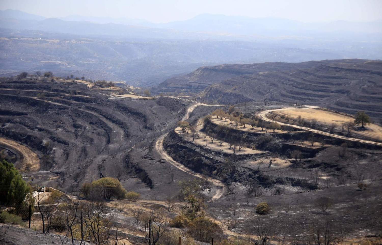 Devastated Land After Limassol Wildfire On July 25, 2025. Picture By Mattpres George Christophorou.