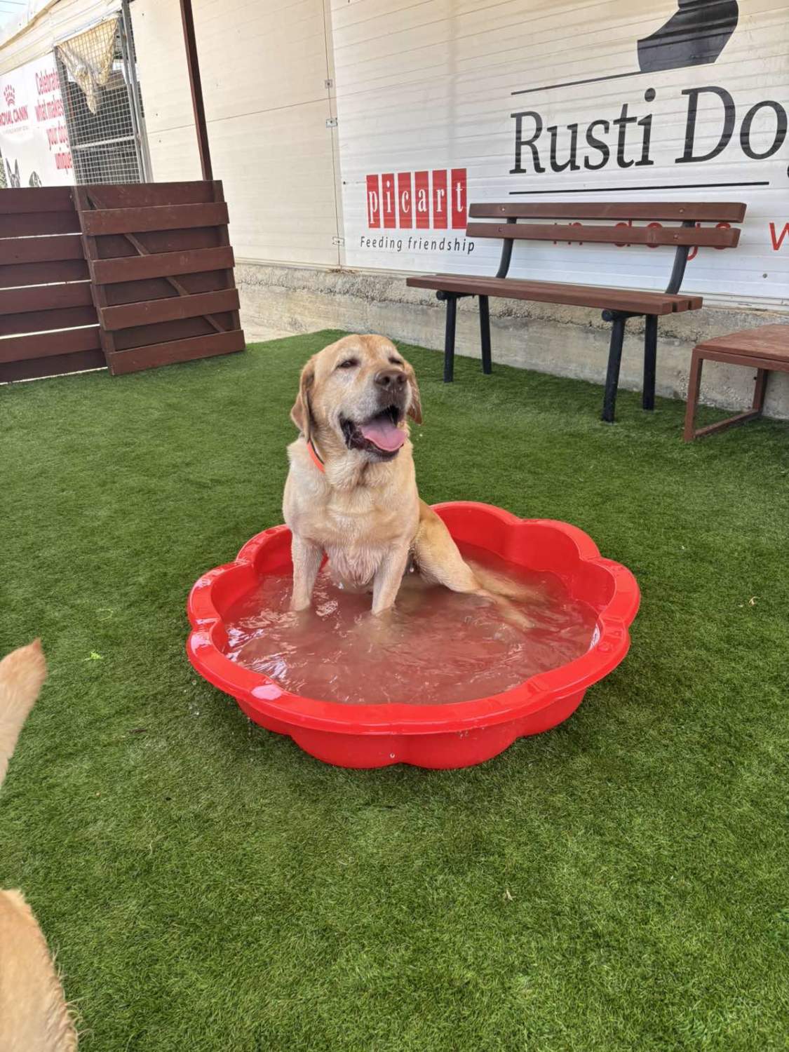 Img 6f6442eb48e6ba8d674c6c1668718851 V