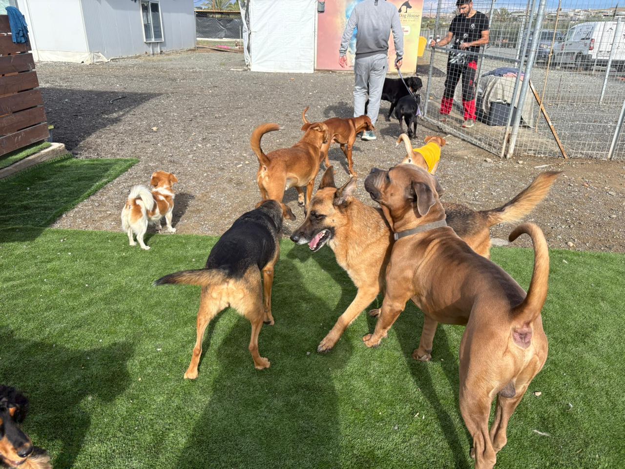 Whatsapp Image 2025 12 12 At 16.33.01 F8cff51e