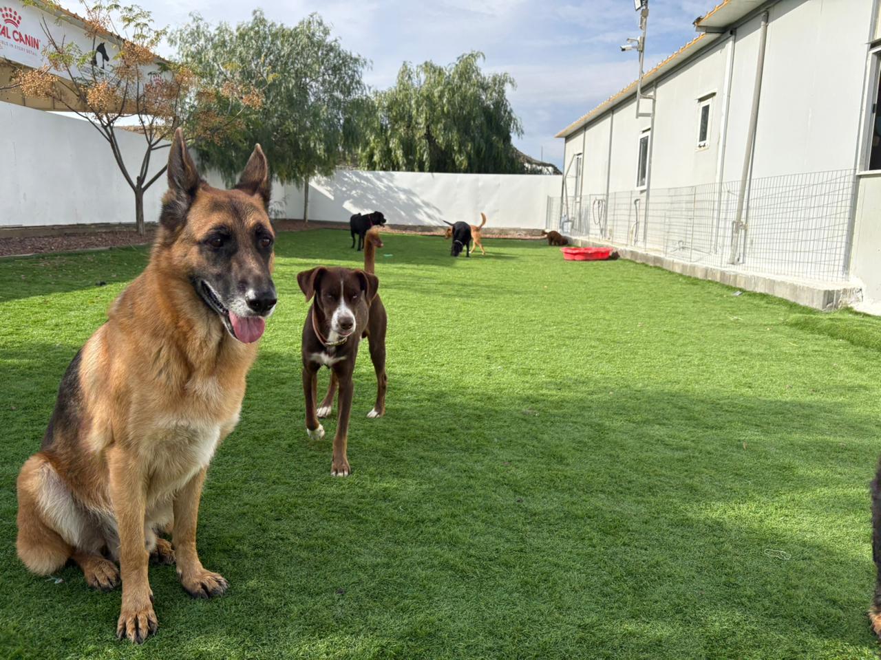 Whatsapp Image 2025 12 12 At 16.33.02 6c9d9d65