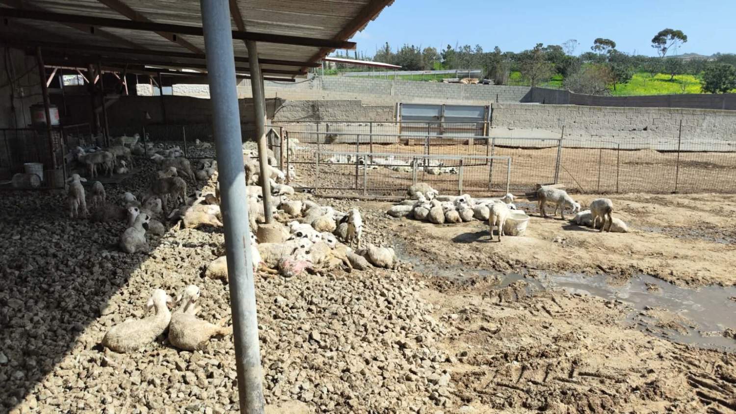 637198704 1207554644770437 6288421062708601502 N 1 1536x864