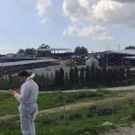 Halloumi exports safe as UK, Canada and Australia clear Cyprus amid foot-and-mouth outbreak