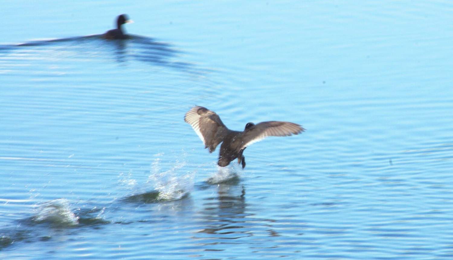 Imgp7688 Copy 1536x884