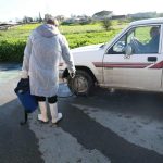 EU veterinary experts rush to Cyprus as foot-and-mouth measures intensify