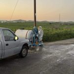 260 cattle facing slaughter as Cyprus locks down 23 farms after foot-and-mouth outbreak