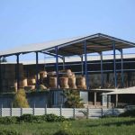 Occupied north to hand 10,000 foot-and-mouth vaccines to Republic of Cyprus