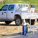 15,000 animals culled with another 15,000 pending as FMD outbreak reaches 41 units