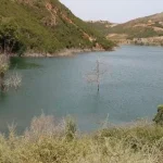 Third Paphos dam overflows following heavy rainfall