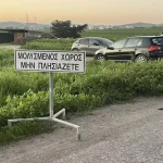 Veterinary official warns delays in cull are worsening foot-and-mouth risk