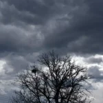 Dust returns on Wednesday as showers stay possible through Thursday