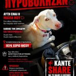 Dog found shot in Pera Chorio Nisou as Ecologists report animal abuse incident