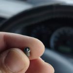 Ecologists express outrage over serial dog shootings in Pera Chorio Nisou