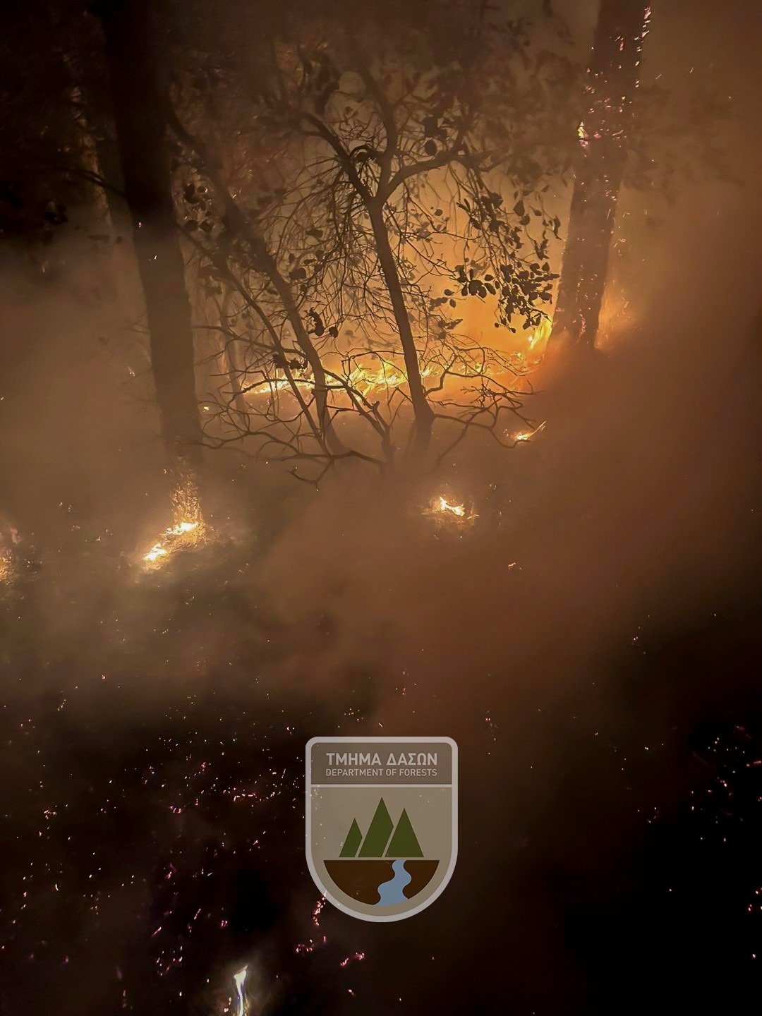 May be an image of fire, tree and text that says "ΤΜΗΜΑΔΑΣΩΝ TMEN TMHMA ΔΑΣΩΝ DEPARTMENT NT OF OF FORESTS ORES FORES"