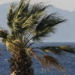 Showers and strong winds forecast for Friday before weekend sunshine