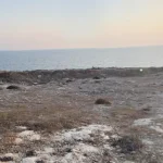 Rusty G3 military rifle discovered in shallow waters off Xylofagou
