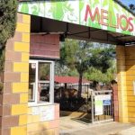 Melios Pet Centre lawyers allege state officials killed crocodiles and jaguar in retaliation