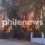 Fire breaks out near homes in Pyrga, Larnaca