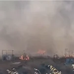 Wildfire breaks out near Ergates industrial area, Nicosia