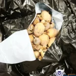 Cyprus Police Arrest 21 and Seize 60kg Opium Poppy Pods